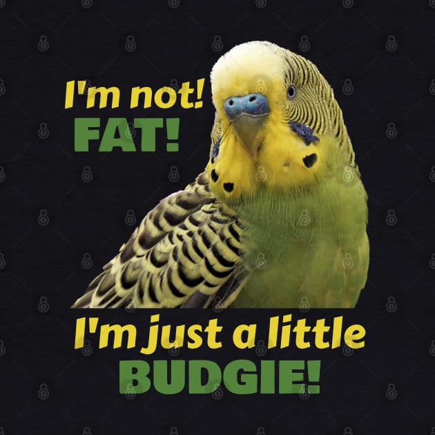 Fat Budgie Parakeet Parrot by Einstein Parrot
